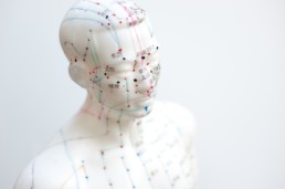 science-of-acupuncture-meridians