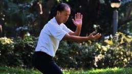 health-benefits-of-tai-chi-and-qigong-for-cancer-patients